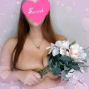 ヒメ日記 2025/11/26 00:42 投稿 宝木刹那(たからぎせつな) 姫路マダム大奥