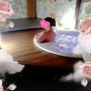 ヒメ日記 2026/02/02 22:52 投稿 宝木刹那(たからぎせつな) 姫路マダム大奥