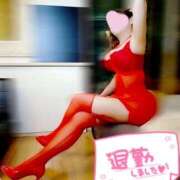 ヒメ日記 2026/02/12 03:22 投稿 宝木刹那(たからぎせつな) 姫路マダム大奥