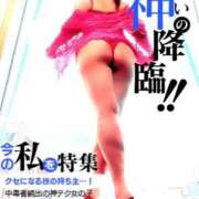 ヒメ日記 2026/02/12 19:07 投稿 宝木刹那(たからぎせつな) 姫路マダム大奥