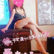 ヒメ日記 2026/02/16 03:52 投稿 宝木刹那(たからぎせつな) 姫路マダム大奥