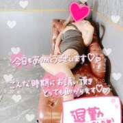 ヒメ日記 2026/05/08 03:12 投稿 宝木刹那(たからぎせつな) 姫路マダム大奥