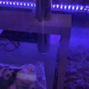 ヒメ日記 2025/05/20 20:03 投稿 あむ 素敵な女の子は好きですか？