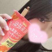 ヒメ日記 2026/03/08 14:17 投稿 かのね 京都BOOK MARK（ブックマーク）