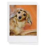 ヒメ日記 2025/05/25 12:18 投稿 えま 熟女の風俗最終章 沼津店