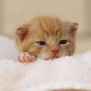 ヒメ日記 2025/06/16 10:18 投稿 えま 熟女の風俗最終章 沼津店