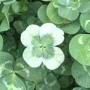 ヒメ日記 2025/10/17 22:18 投稿 えま 熟女の風俗最終章 沼津店