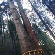 ヒメ日記 2026/01/09 17:48 投稿 えま 熟女の風俗最終章 沼津店