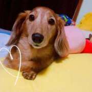 ヒメ日記 2026/02/18 17:28 投稿 えま 熟女の風俗最終章 沼津店