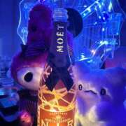 りお - ̗̀ 🎂  ̖́- アレグリア