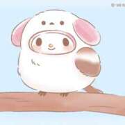 ヒメ日記 2026/04/28 20:00 投稿 りお アレグリア