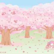 ヒメ日記 2026/05/01 22:00 投稿 りお アレグリア
