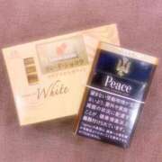 ヒメ日記 2025/08/23 16:50 投稿 メイ いたずらバニーちゃん