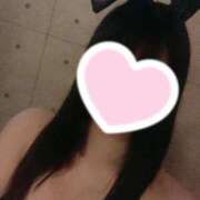 メイ しゅっきん！ いたずらバニーちゃん