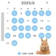 ヒメ日記 2025/06/01 21:44 投稿 すずらん ていくぷらいど.学園