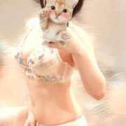 ヒメ日記 2025/06/19 07:09 投稿 すずらん ていくぷらいど.学園