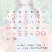 ヒメ日記 2025/05/20 20:38 投稿 結 琥珀（こはく）