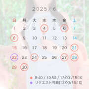 ヒメ日記 2025/06/03 22:05 投稿 結 琥珀（こはく）