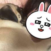 ヒメ日記 2025/06/14 10:49 投稿 Kurara THE PREMIUM （プレミアム）