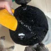 ヒメ日記 2025/06/19 07:50 投稿 Kurara THE PREMIUM （プレミアム）