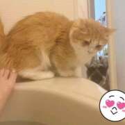 ヒメ日記 2025/06/20 14:25 投稿 Kurara THE PREMIUM （プレミアム）