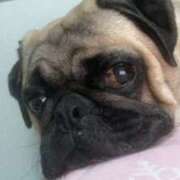 ヒメ日記 2025/06/20 17:48 投稿 Kurara THE PREMIUM （プレミアム）