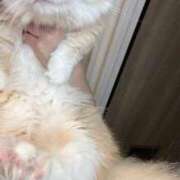 ヒメ日記 2025/07/16 15:06 投稿 Kurara THE PREMIUM （プレミアム）