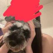 ヒメ日記 2025/07/25 14:43 投稿 Kurara THE PREMIUM （プレミアム）