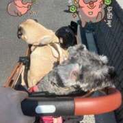 ヒメ日記 2025/08/04 18:20 投稿 Kurara THE PREMIUM （プレミアム）