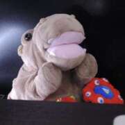 ヒメ日記 2025/08/11 07:29 投稿 Kurara THE PREMIUM （プレミアム）