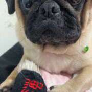 ヒメ日記 2025/08/13 11:14 投稿 Kurara THE PREMIUM （プレミアム）