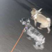 ヒメ日記 2025/09/03 07:55 投稿 Kurara THE PREMIUM （プレミアム）