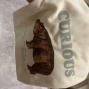 ヒメ日記 2025/09/03 20:21 投稿 Kurara THE PREMIUM （プレミアム）