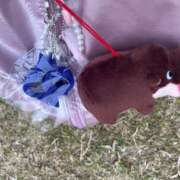 ヒメ日記 2025/09/17 12:47 投稿 Kurara THE PREMIUM （プレミアム）