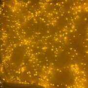 ヒメ日記 2025/09/27 07:45 投稿 Kurara THE PREMIUM （プレミアム）