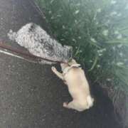 ヒメ日記 2025/10/04 15:43 投稿 Kurara THE PREMIUM （プレミアム）