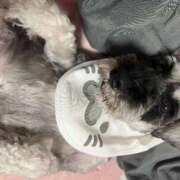 ヒメ日記 2025/10/14 18:00 投稿 Kurara THE PREMIUM （プレミアム）