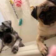 ヒメ日記 2025/10/20 00:15 投稿 Kurara THE PREMIUM （プレミアム）