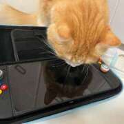 ヒメ日記 2025/10/22 16:46 投稿 Kurara THE PREMIUM （プレミアム）