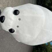 ヒメ日記 2025/11/07 13:53 投稿 Kurara THE PREMIUM （プレミアム）