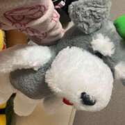 ヒメ日記 2025/11/19 14:11 投稿 Kurara THE PREMIUM （プレミアム）