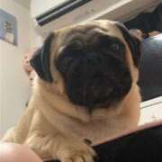 ヒメ日記 2025/11/23 15:08 投稿 Kurara THE PREMIUM （プレミアム）