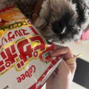 Kurara 明日！！！ THE PREMIUM （プレミアム）