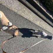 ヒメ日記 2025/12/10 14:00 投稿 Kurara THE PREMIUM （プレミアム）