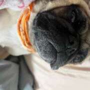 ヒメ日記 2026/02/10 12:23 投稿 Kurara THE PREMIUM （プレミアム）