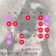 ヒメ日記 2026/02/24 20:17 投稿 Kurara THE PREMIUM （プレミアム）