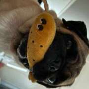 ヒメ日記 2026/03/03 22:26 投稿 Kurara THE PREMIUM （プレミアム）