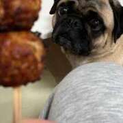 ヒメ日記 2026/03/06 14:01 投稿 Kurara THE PREMIUM （プレミアム）