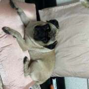 ヒメ日記 2026/03/20 12:05 投稿 Kurara THE PREMIUM （プレミアム）