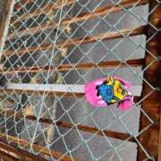 ヒメ日記 2026/03/27 14:00 投稿 Kurara THE PREMIUM （プレミアム）